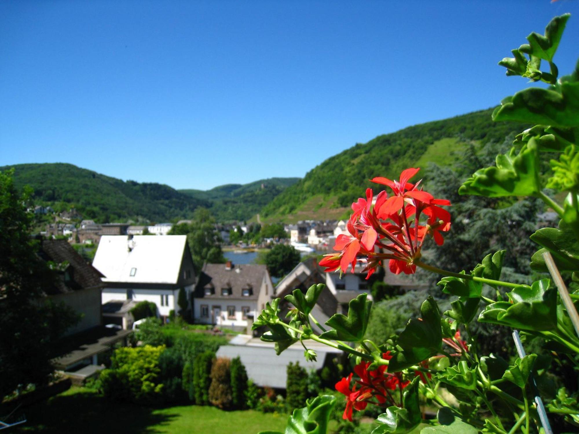 Ferienwohnung Burgblick Bullay Exterior foto